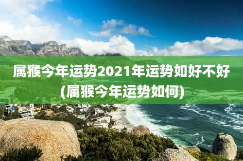 属猴今年运势2021年运势如好不好(属猴今年运势如何)