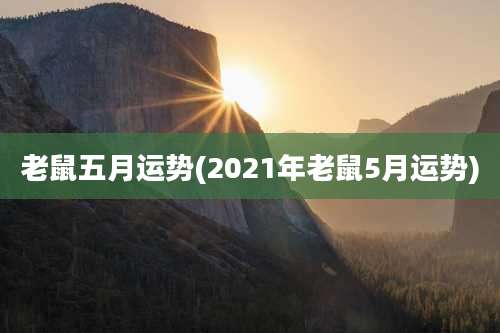 老鼠五月运势(2021年老鼠5月运势)