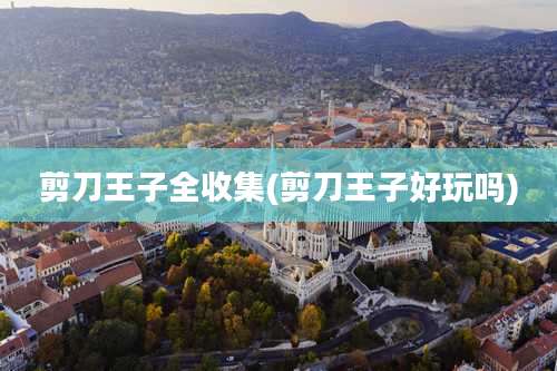 剪刀王子全收集(剪刀王子好玩吗)