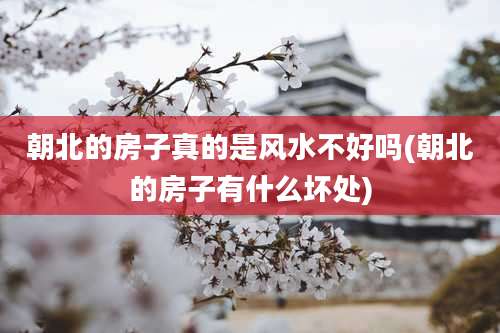 朝北的房子真的是风水不好吗(朝北的房子有什么坏处)