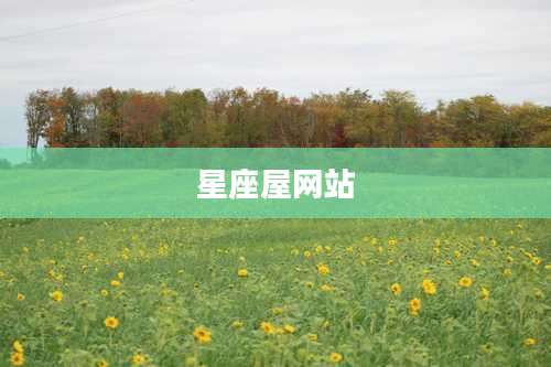 星座屋网站