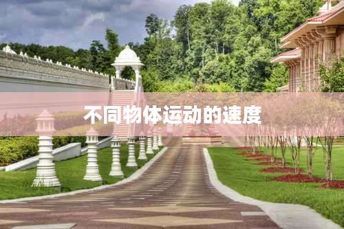 不同物体运动的速度