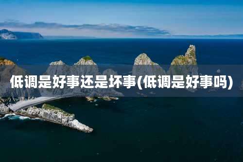 低调是好事还是坏事(低调是好事吗)