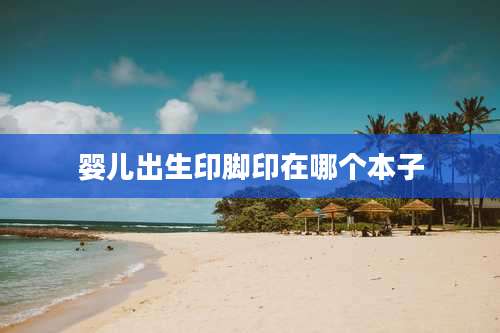 婴儿出生印脚印在哪个本子