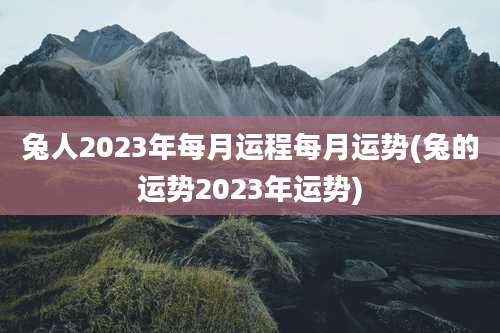 兔人2023年每月运程每月运势(兔的运势2023年运势)
