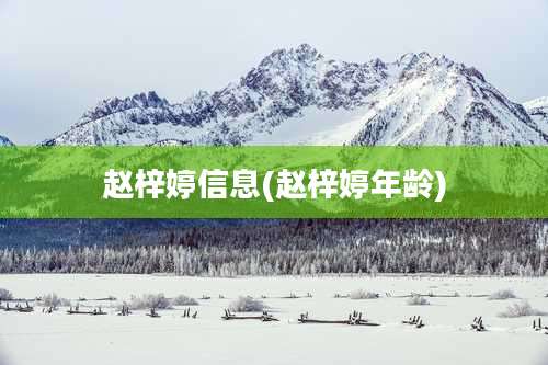 赵梓婷信息(赵梓婷年龄)