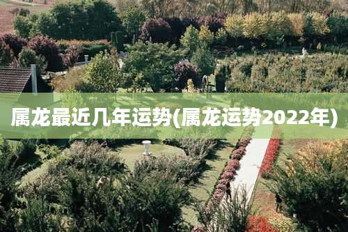 属龙最近几年运势(属龙运势2022年)