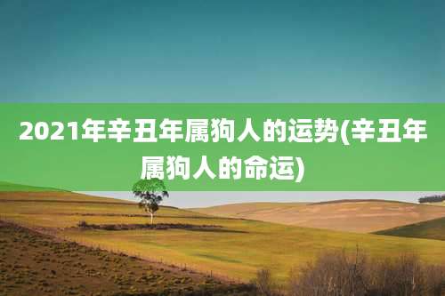 2021年辛丑年属狗人的运势(辛丑年属狗人的命运)