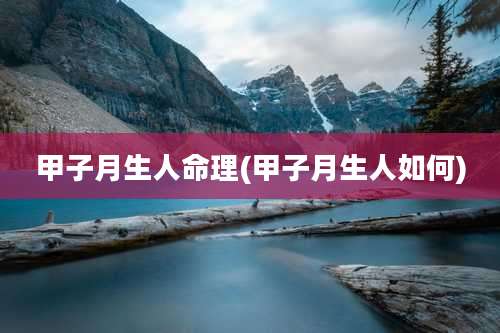 甲子月生人命理(甲子月生人如何)