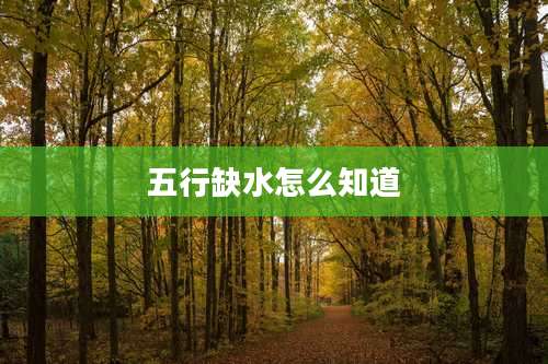 五行缺水怎么知道