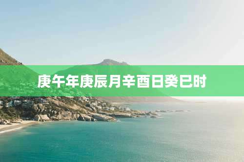 庚午年庚辰月辛酉日癸巳时