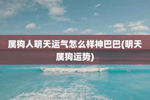 属狗人明天运气怎么样神巴巴(明天属狗运势)