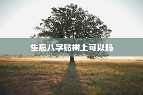 生辰八字贴树上可以吗