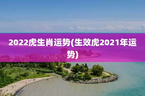 2022虎生肖运势(生效虎2021年运势)