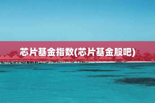 芯片基金指数(芯片基金股吧)