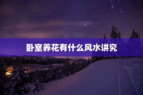 卧室养花有什么风水讲究