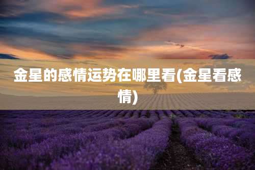 金星的感情运势在哪里看(金星看感情)