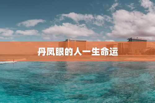 丹凤眼的人一生命运