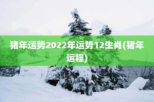 猪年运势2022年运势12生肖(猪年运程)