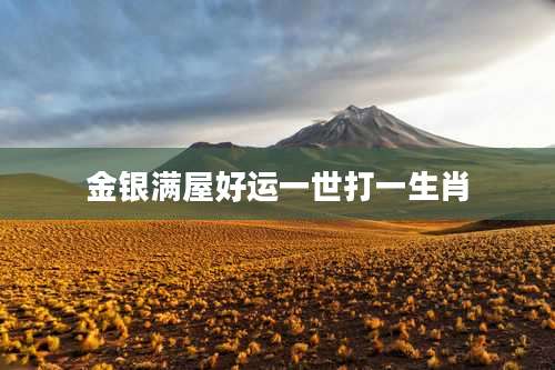 金银满屋好运一世打一生肖