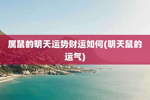 属鼠的明天运势财运如何(明天鼠的运气)