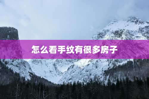怎么看手纹有很多房子