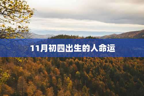 11月初四出生的人命运