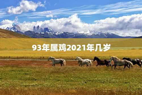 93年属鸡2021年几岁