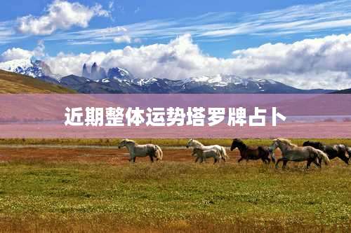 近期整体运势塔罗牌占卜