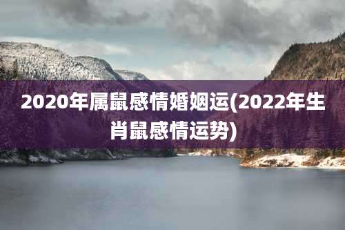 2020年属鼠感情婚姻运(2022年生肖鼠感情运势)