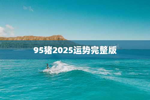 95猪2025运势完整版