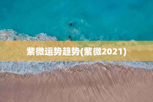 紫微运势趋势(紫微2021)
