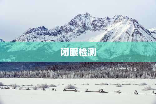 闭眼检测