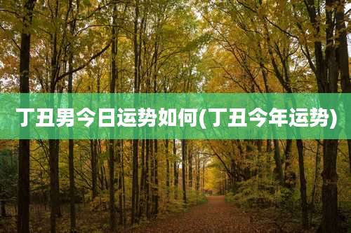 丁丑男今日运势如何(丁丑今年运势)