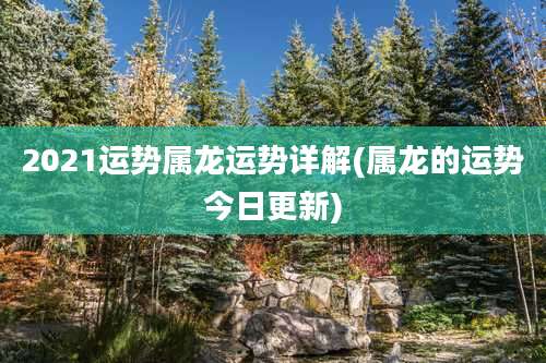 2021运势属龙运势详解(属龙的运势今日更新)