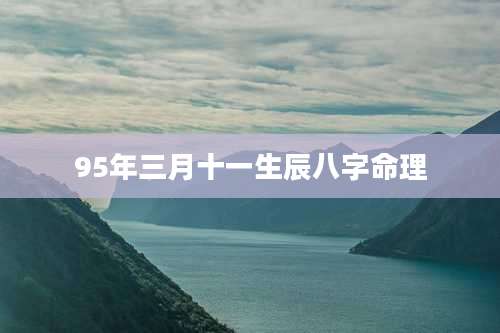 95年三月十一生辰八字命理