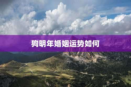 狗明年婚姻运势如何