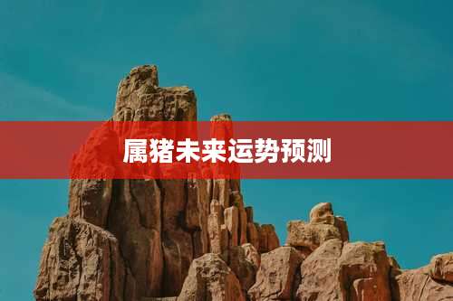 属猪未来运势预测