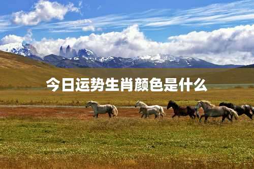 今日运势生肖颜色是什么