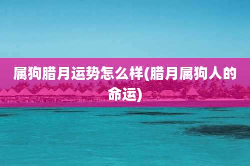 属狗腊月运势怎么样(腊月属狗人的命运)