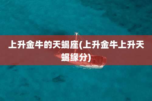 上升金牛的天蝎座(上升金牛上升天蝎缘分)