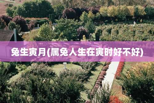 兔生寅月(属兔人生在寅时好不好)