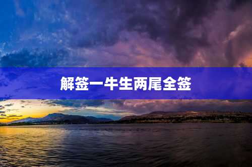 解签一牛生两尾全签