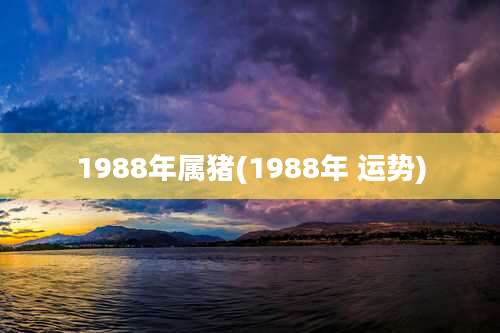 1988年属猪(1988年 运势)