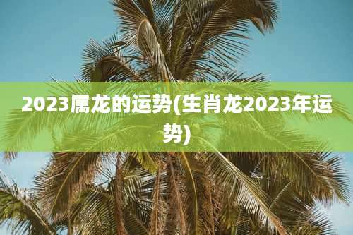 2023属龙的运势(生肖龙2023年运势)