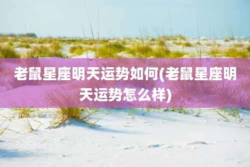 老鼠星座明天运势如何(老鼠星座明天运势怎么样)