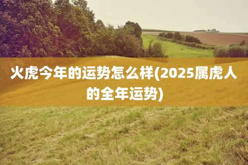 火虎今年的运势怎么样(2025属虎人的全年运势)