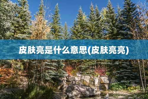 皮肤亮是什么意思(皮肤亮亮)