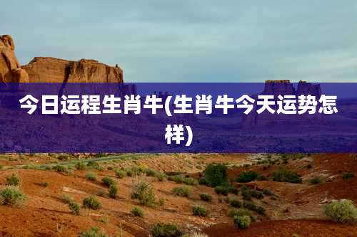 今日运程生肖牛(生肖牛今天运势怎样)
