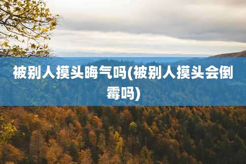被别人摸头晦气吗(被别人摸头会倒霉吗)